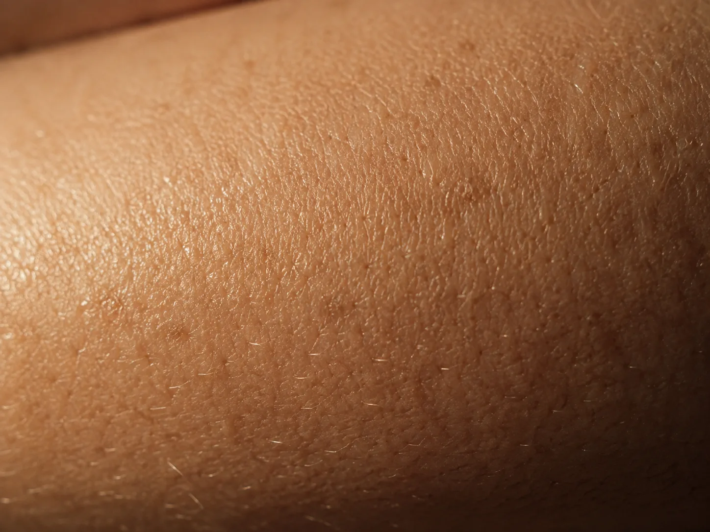 An extreme close-up of skin texture in raking light, no face visible.